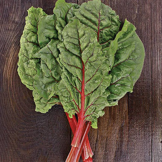 Chard, Red - 2 Pack